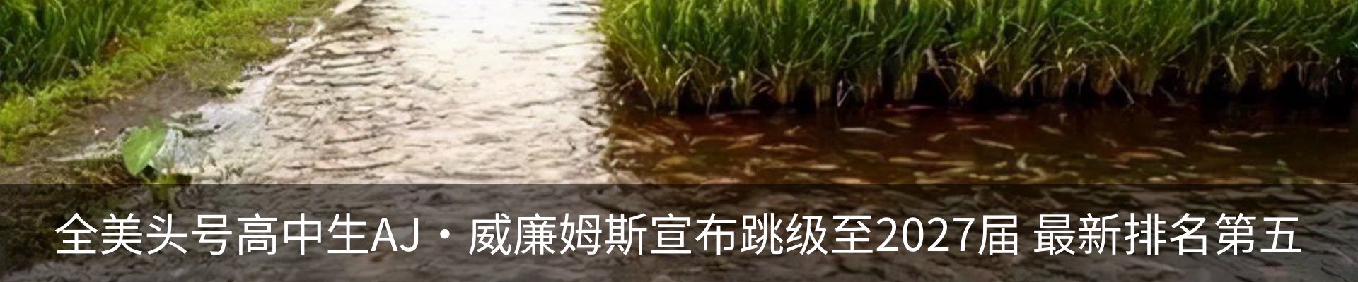 热点资讯